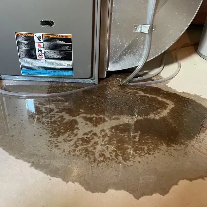 Appliance Leak Cleanup in Alexander City, AL